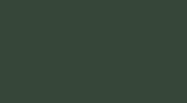 matte luxe viridian