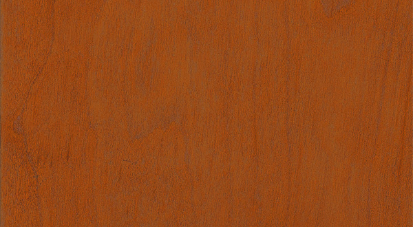 white birch dark honey